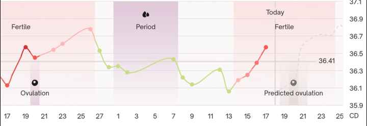 Aiuto ovulazione - 1