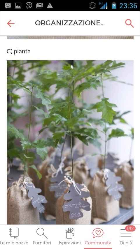 Quale sarà il tema delle vostre nozze? Il risultato! - 12