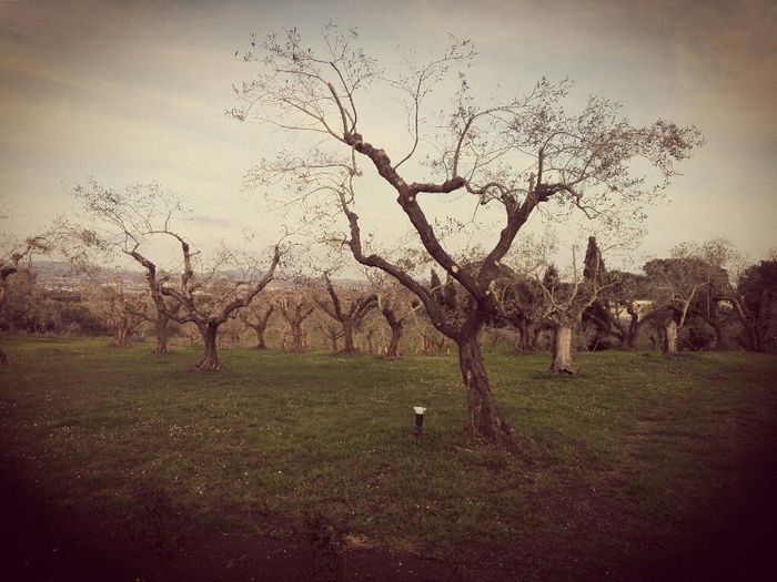  Foto della location - 5