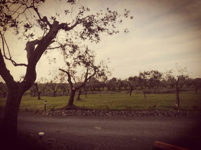  Foto della location - 6