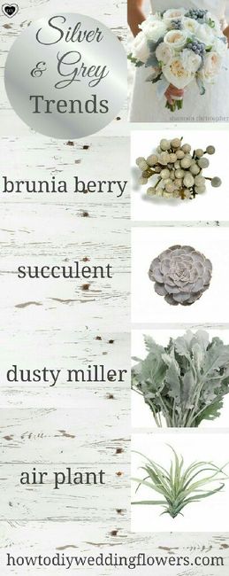  Unione civile 2.0 - 9