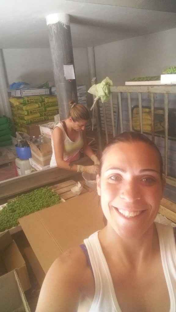 Vorrei urlare... - 1