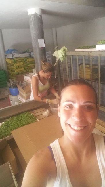 Vorrei urlare... - 1