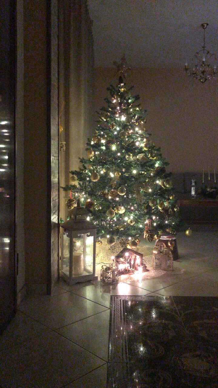 Avete mai fatto l'albero insieme? - 1