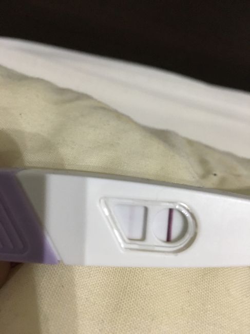 Positivo o negativo? - 1