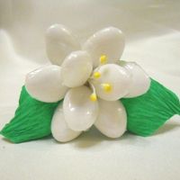 fresia confetti di sulmona