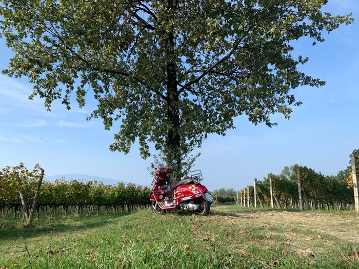 Franciacorta - 1
