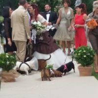 Sposati! ecco alcune foto non ufficiali - 14