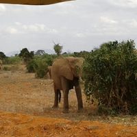 La nostra luna di miele..kenya - 3