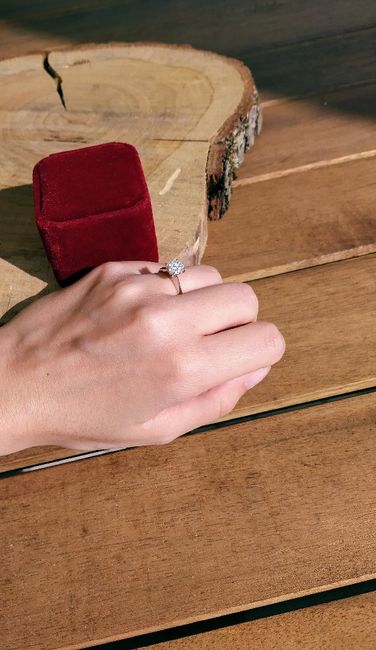 Anelli di fidanzamento - 1