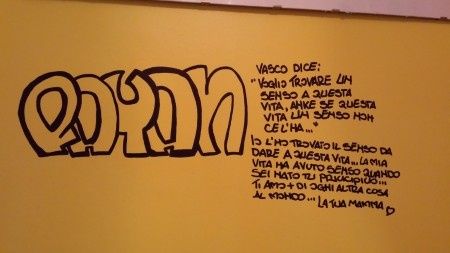 camera di pulce
