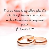 Amore