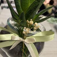 Help bomboniere!! - 2