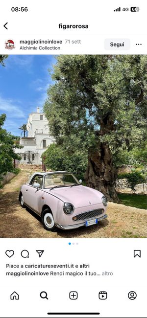 Spider o figaro? - 2