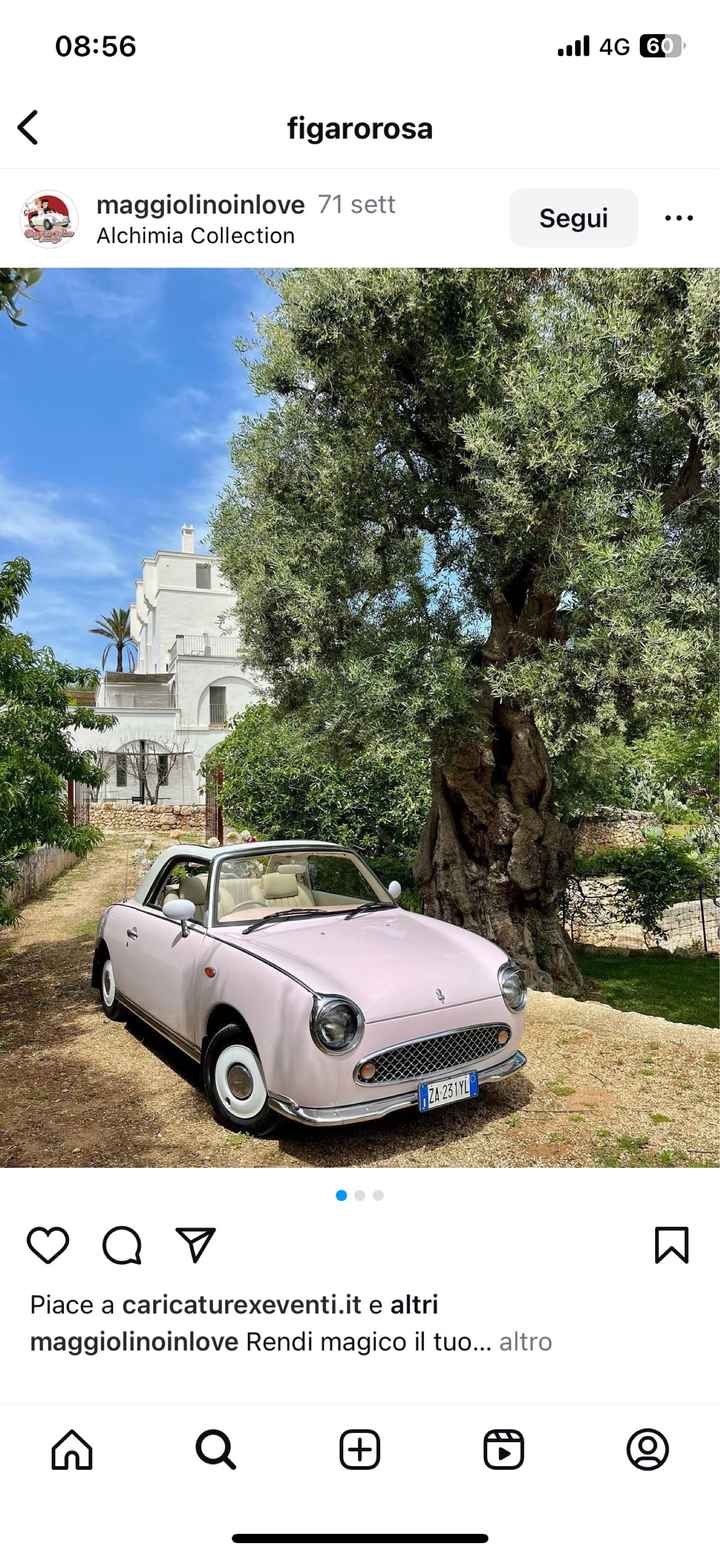 Spider o figaro? - 2