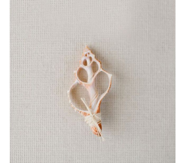 Fiore all occhiello!!