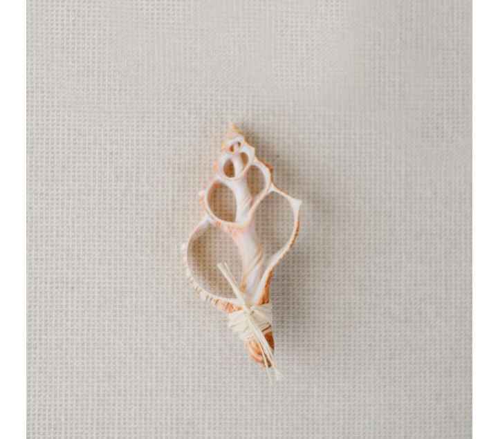 Fiore all occhiello!!