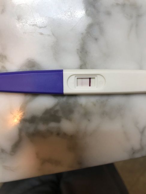 Chi non le aspetta per novembre 2019 - 1