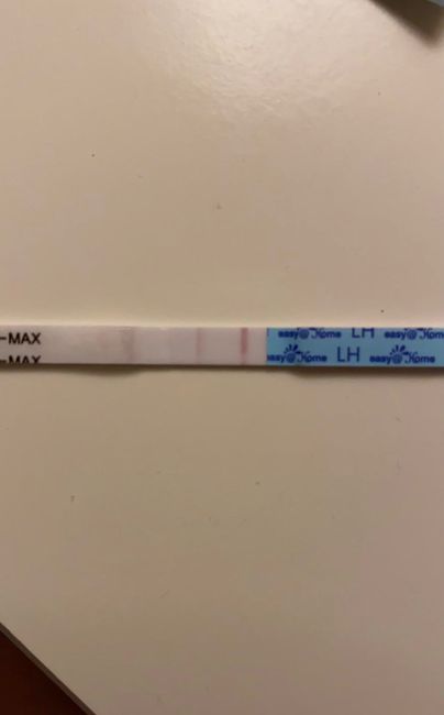 Per chi non le aspetta per febbraio 2020 - 1