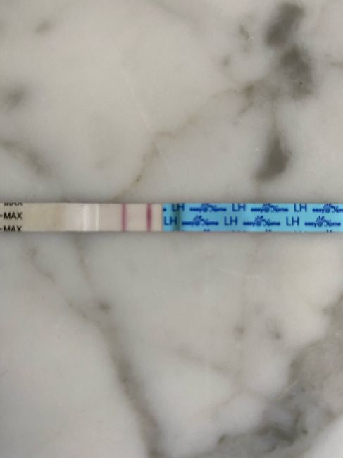 Chi non le aspetta per Aprile 2020 - 1