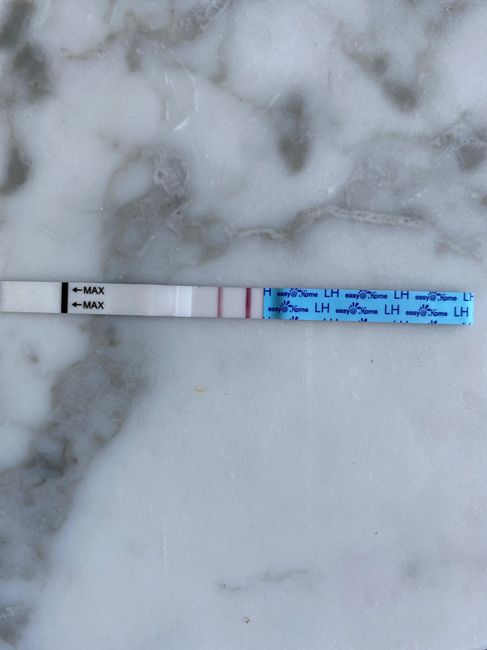 Chi non le aspetta per luglio 2020 🍀🐞🤞🌈🌻 - 1