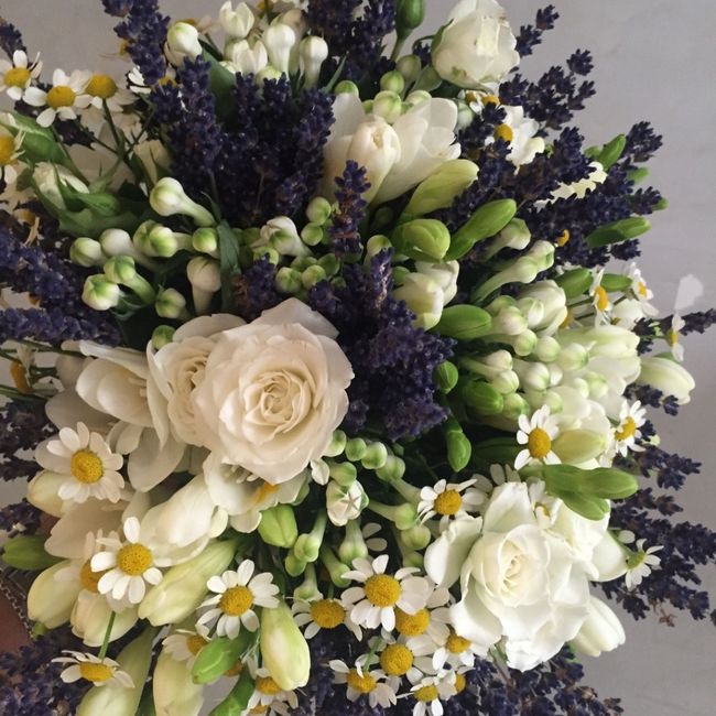 Ora mancano solo i fiori..🤔 3