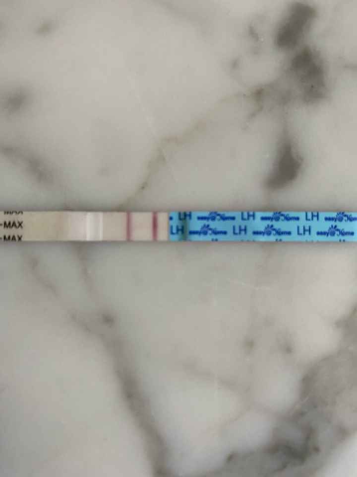 Stick lh alto durante il ciclo..help!!! - 1