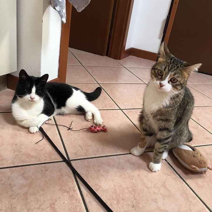 La famiglia si allarga.. - 1