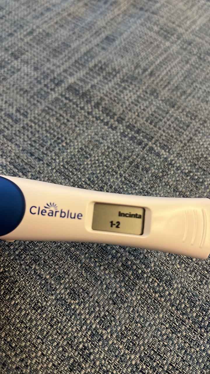 Future mamme❤️ 2024,gennaio,febbraio,marzo,aprile,maggio,giugno,luglio,agosto,settembre, ottobre, no