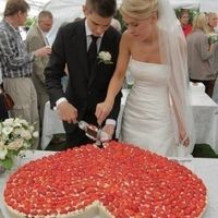 AAAAAA . CERCASI TORTA NUZIALE BELLA E SOPRATTUTTO BUONA.