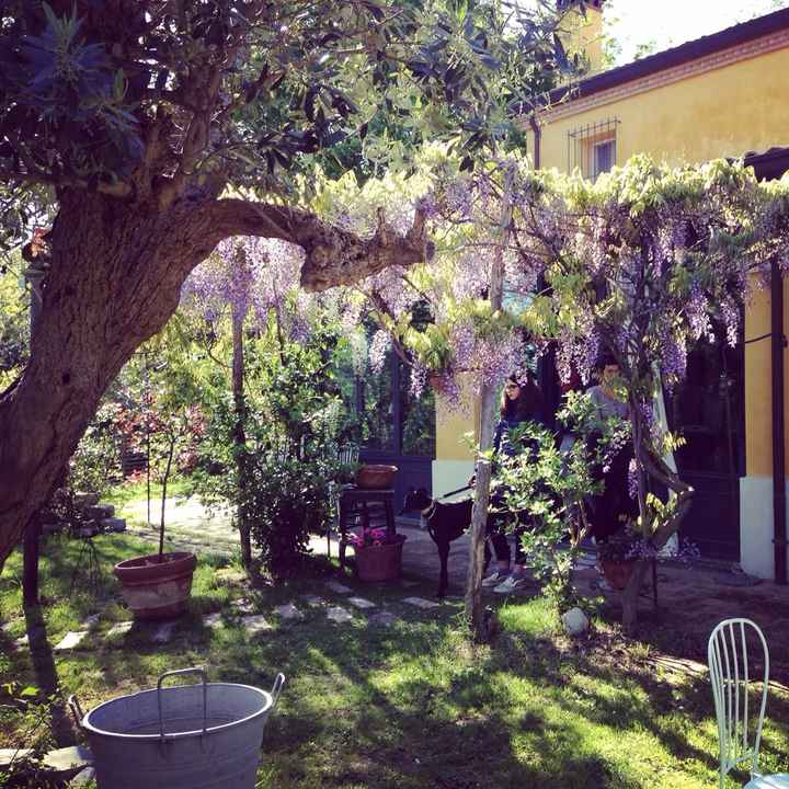 Location qualche scorcio! - 2