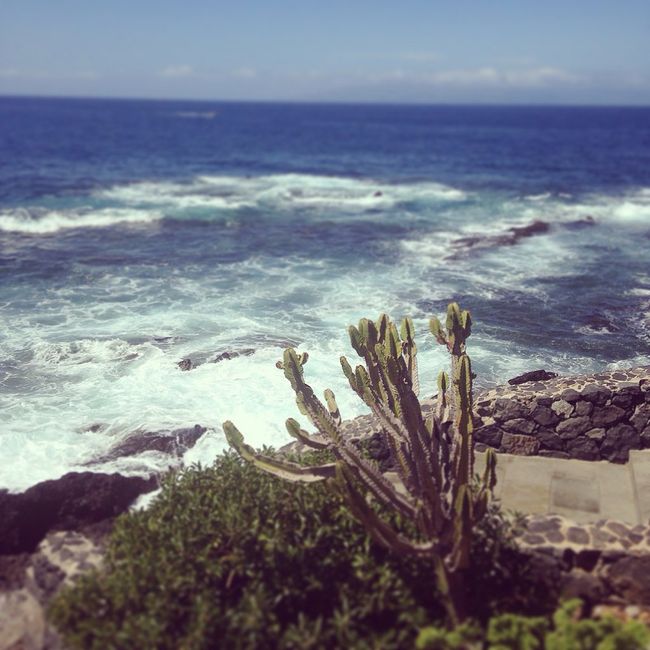 Tenerife totale! - 2