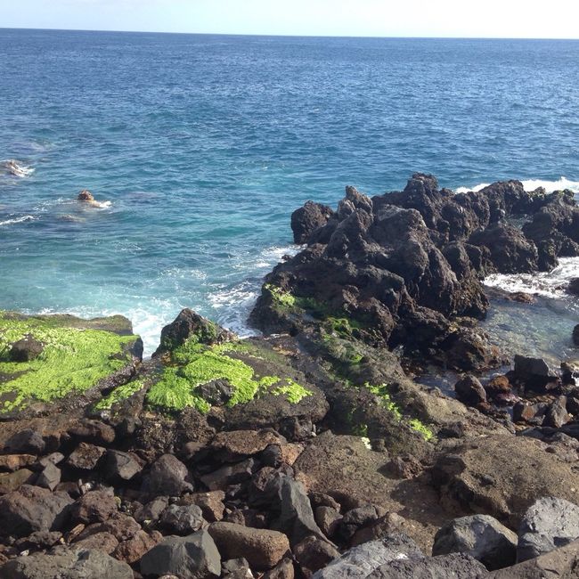 Tenerife totale! - 3