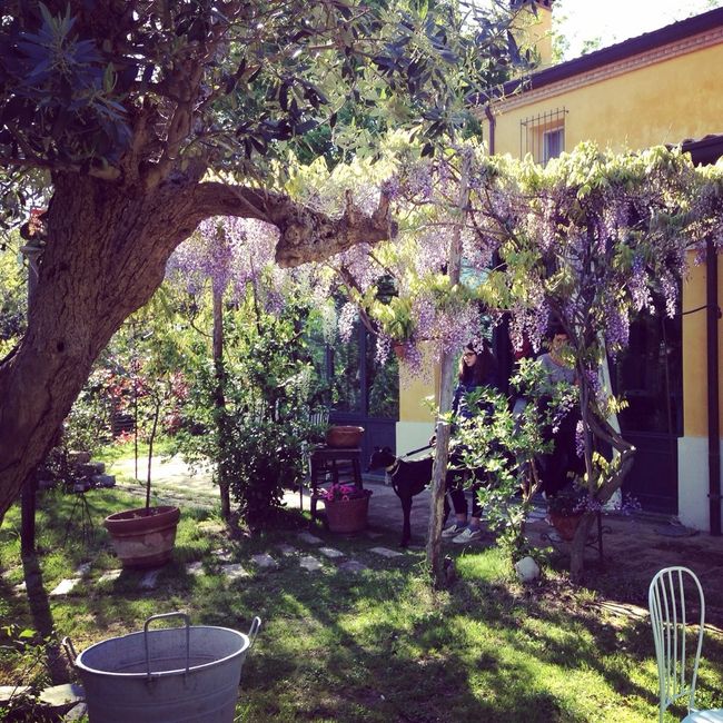 Location qualche scorcio! - 2