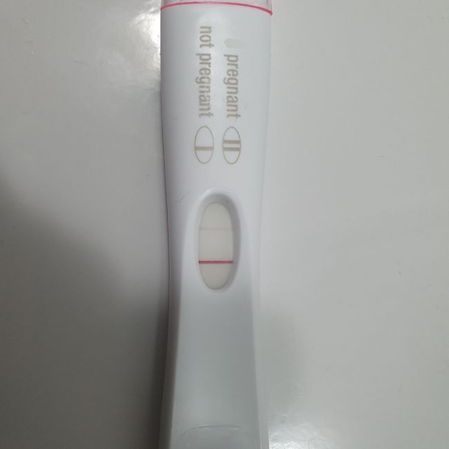 Chi non le aspetta per Novembre  2020 🍀❤️🍀❤️🍀❤️🍀❤️🍀❤️🍀❤️🍀 - 1