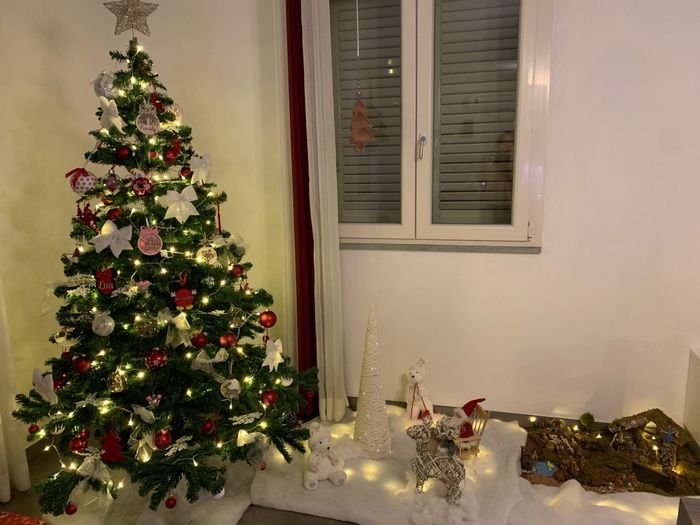 Avete mai fatto l'albero insieme? 3