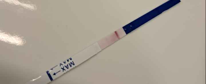 Chi non le aspetta per marzo 2026 💐 - 1