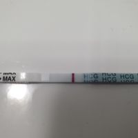 Chi non le aspetta per Novembre  2020 🍀❤️🍀❤️🍀❤️🍀❤️🍀❤️🍀❤️🍀 - 2