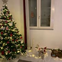 Avete mai fatto l'albero insieme? - 1