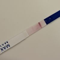 Chi non le aspetta per marzo 2026 💐 - 1