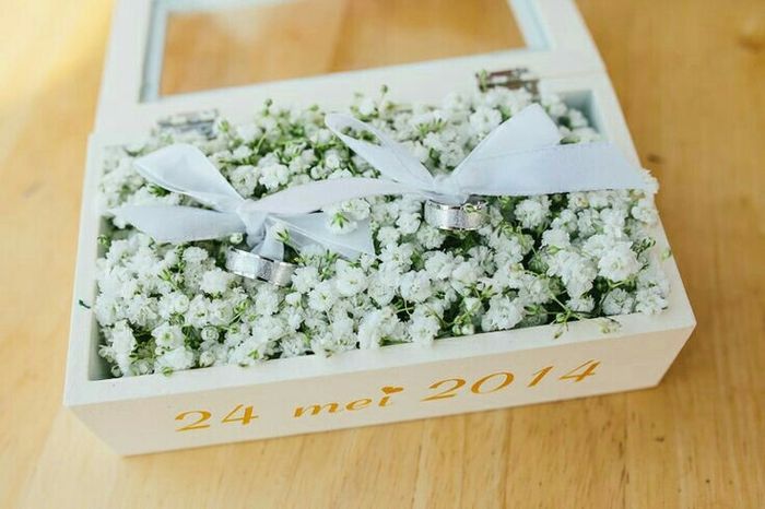 Portafedi trasparente - 2