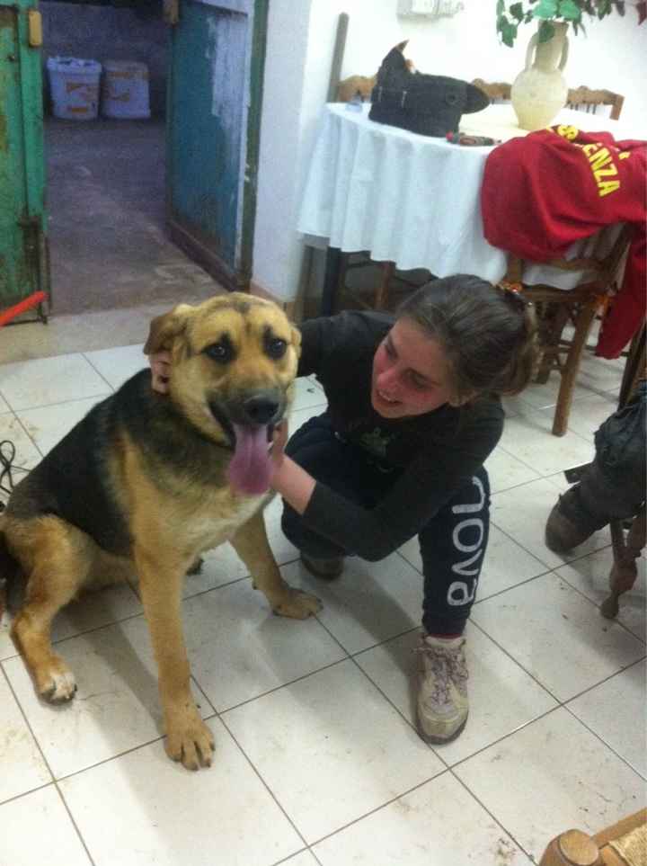 Ecco a voi i miei amori.. - 2