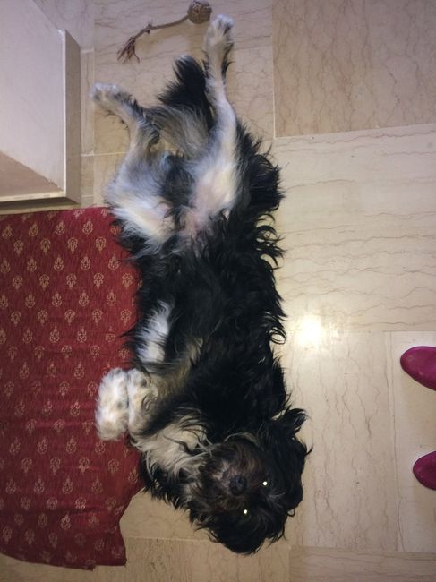  La famiglia si allarga 😂 - 1