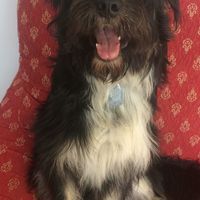 Viaggio di nozze.....a pezzi!! (topic lungo) - 1