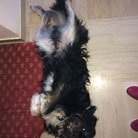  La famiglia si allarga 😂 - 1