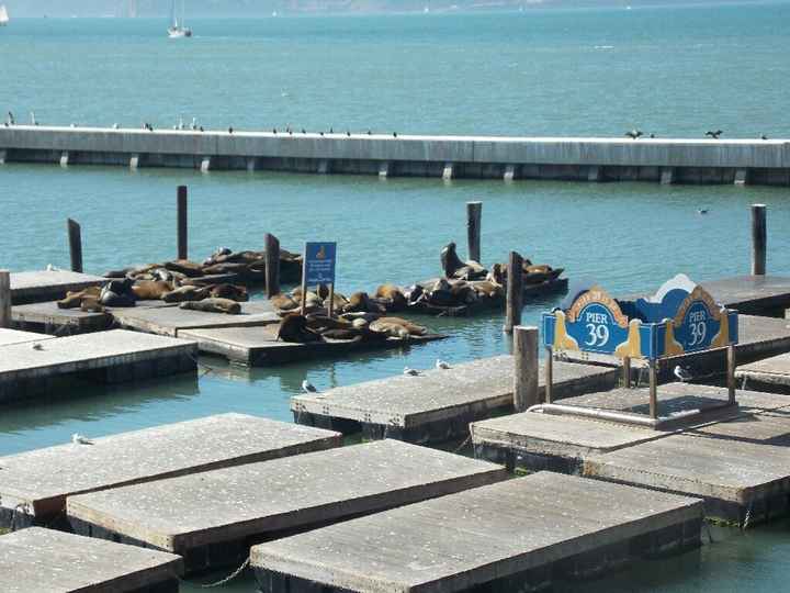  Viaggio di nozze prima parte: San Francisco! - 5