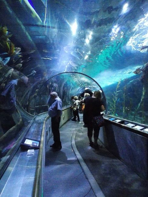  Viaggio di nozze prima parte: San Francisco! - 6