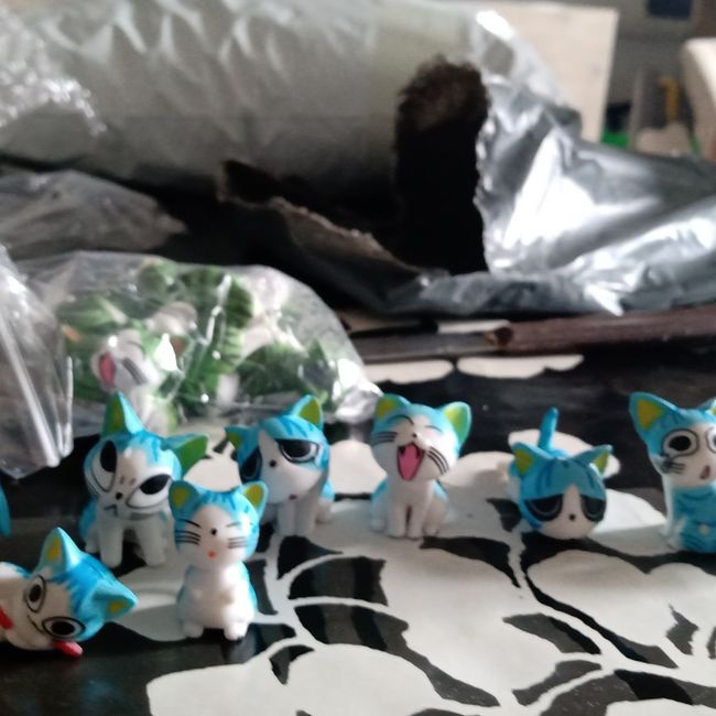 Ho comprato su Aliexpress - 1