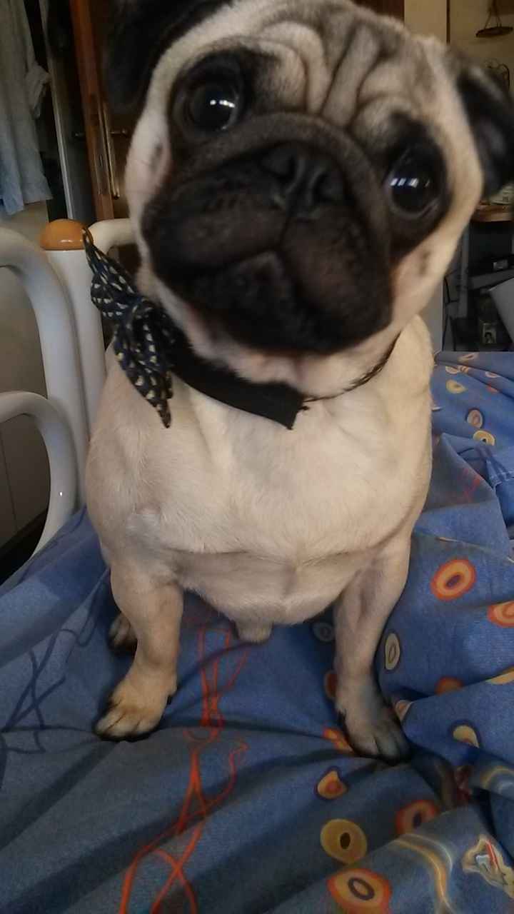 Palù cresce ... - 2