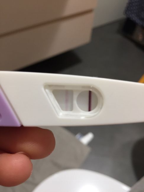 Test ovulazione come test di gravidanza??? 1
